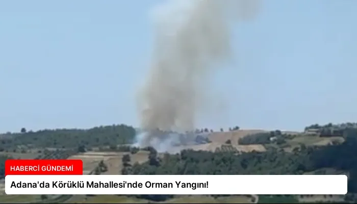 Adana’da Körüklü Mahallesi’nde Orman Yangını!