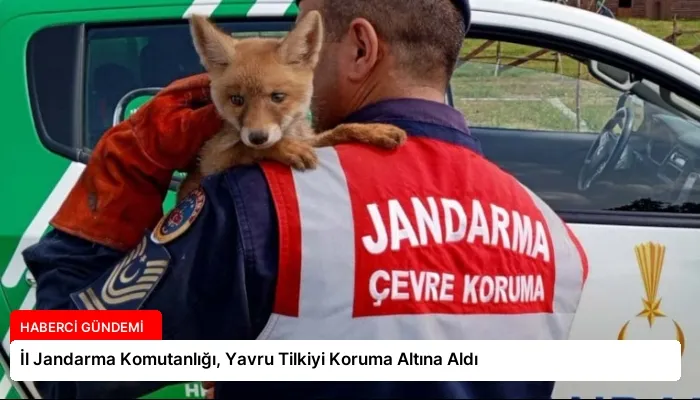 İl Jandarma Komutanlığı, Yavru Tilkiyi Koruma Altına Aldı