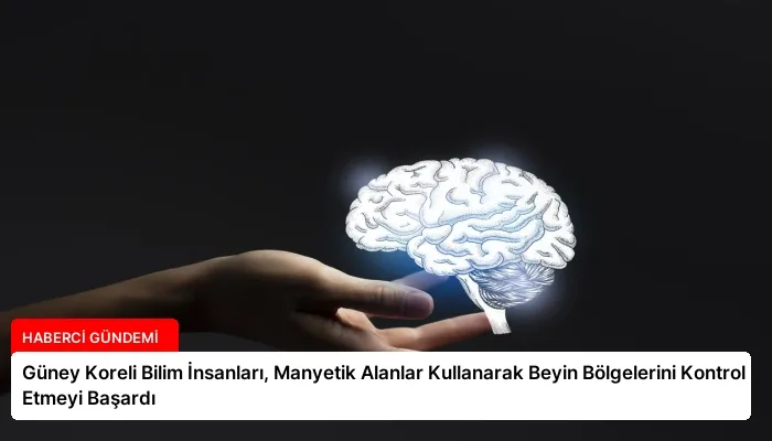 Güney Koreli Bilim İnsanları, Manyetik Alanlar Kullanarak Beyin Bölgelerini Kontrol Etmeyi Başardı
