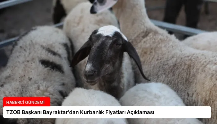 TZOB Başkanı Bayraktar’dan Kurbanlık Fiyatları Açıklaması