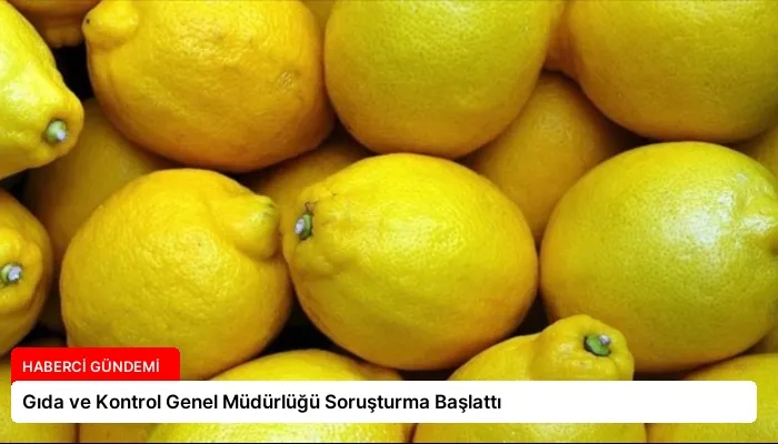 Gıda ve Kontrol Genel Müdürlüğü Soruşturma Başlattı