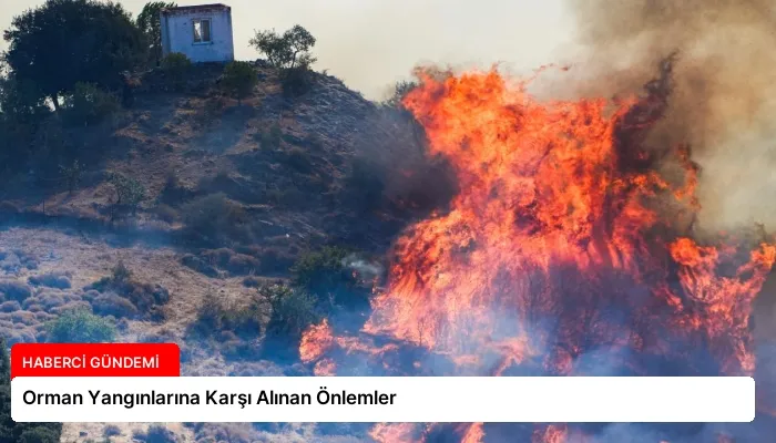 Orman Yangınlarına Karşı Alınan Önlemler
