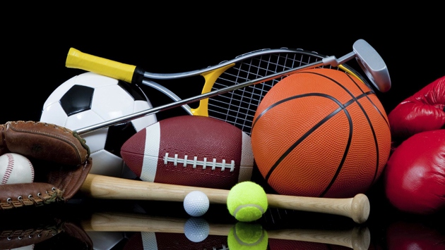 Spor Sağlığı ve Güvenliği: Eelaine Ford Author