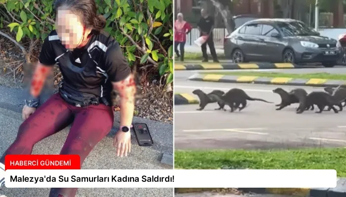 Malezya’da Su Samurları Kadına Saldırdı!