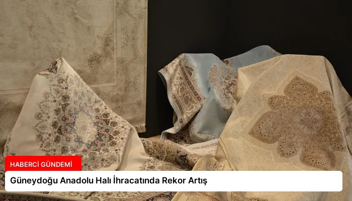 Güneydoğu Anadolu Halı İhracatında Rekor Artış
