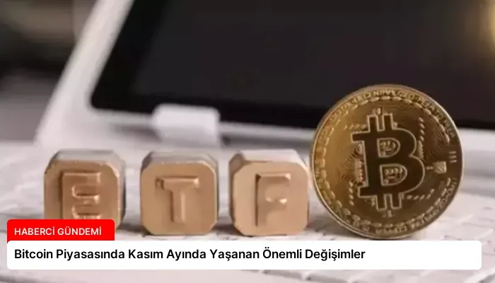 Bitcoin Piyasasında Kasım Ayında Yaşanan Önemli Değişimler