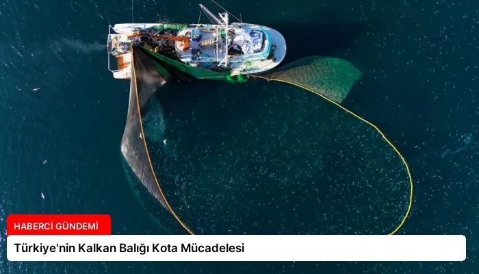 Türkiye’nin Kalkan Balığı Kota Mücadelesi
