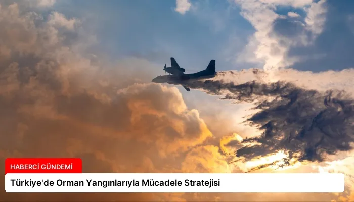 Türkiye’de Orman Yangınlarıyla Mücadele Stratejisi