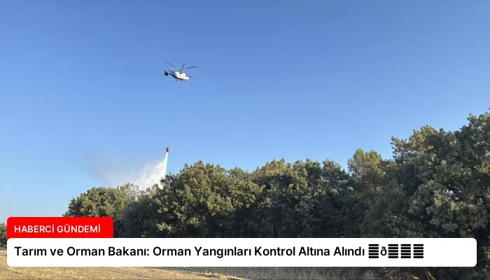 Tarım ve Orman Bakanı: Orman Yangınları Kontrol Altına Alındı ⏬👇
