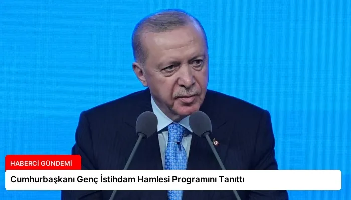 Cumhurbaşkanı Genç İstihdam Hamlesi Programını Tanıttı