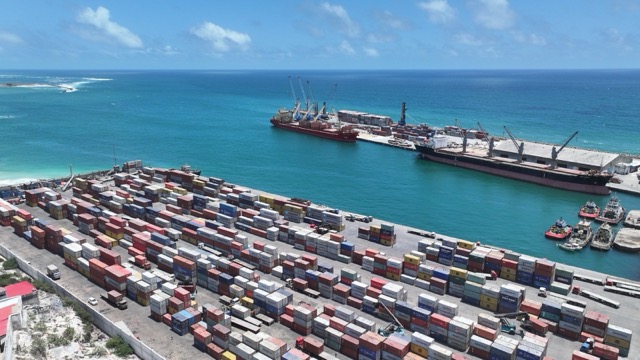 Albayrak Grubu, yurtdışındaki 7 stratejik limanını ALPORT markası altında topladı.