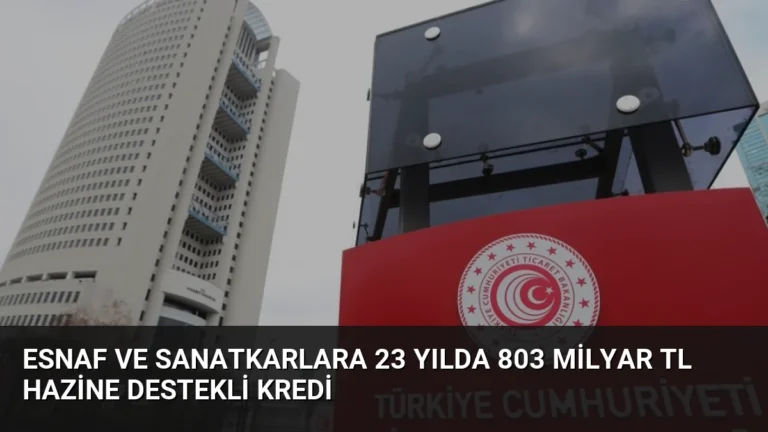 Esnaf ve Sanatkarlara 23 Yılda 803 Milyar TL Hazine Destekli Kredi