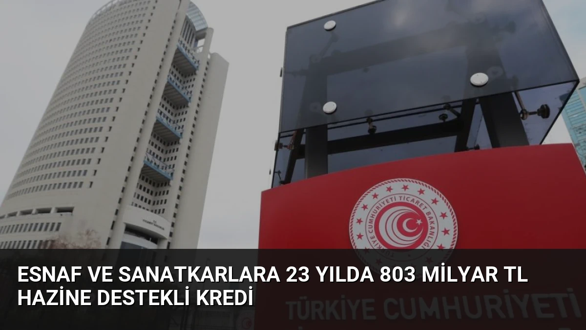 Esnaf ve Sanatkarlara 23 Yılda 803 Milyar TL Hazine Destekli Kredi