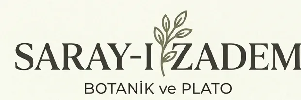 YEŞİLİN EN GÜZEL HALİ: SALON & OFİS BİTKİLERİ