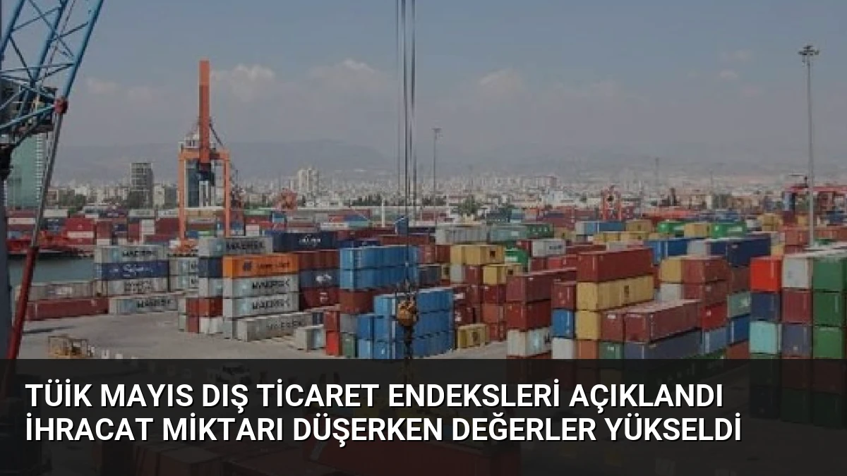 TÜİK Mayıs Dış Ticaret Endeksleri Açıklandı İhracat Miktarı Düşerken Değerler Yükseldi