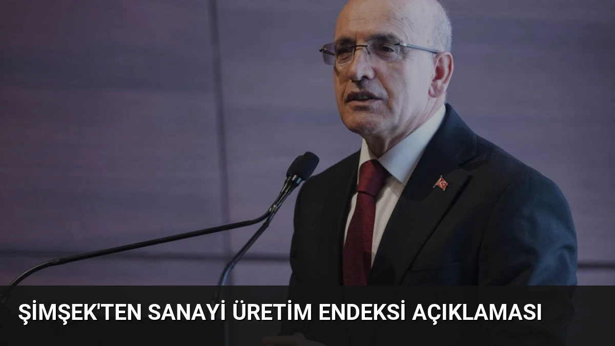 Şimşek’ten Sanayi Üretim Endeksi Açıklaması