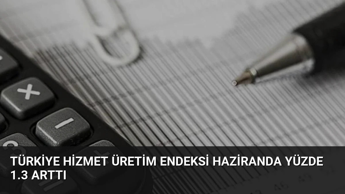 Türkiye Hizmet Üretim Endeksi Haziranda Yüzde 1.3 Arttı