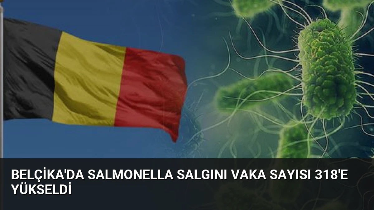 Belçika’da Salmonella Salgını Vaka Sayısı 318’e Yükseldi