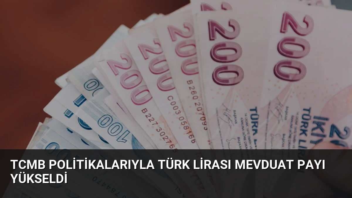 TCMB Politikalarıyla Türk Lirası Mevduat Payı Yükseldi
